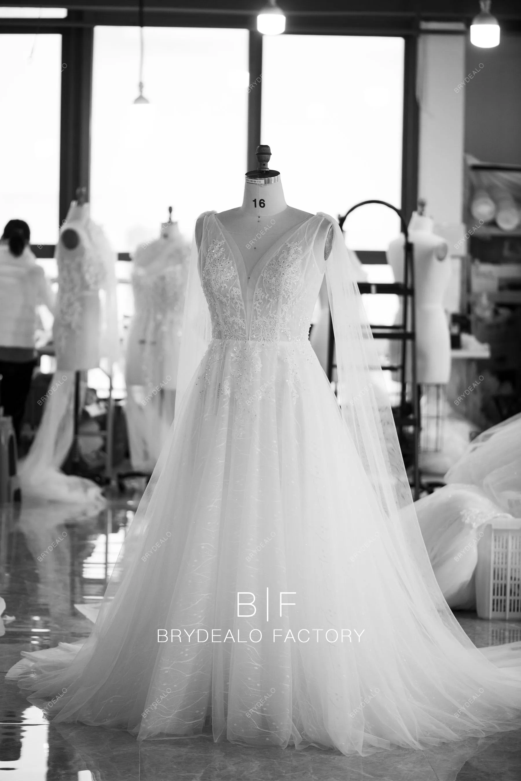 Beaded Lace Plunging Shoulder Veil A-line Wedding Dress